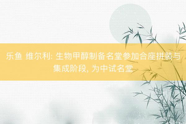 乐鱼 维尔利: 生物甲醇制备名堂参加合座拼装与集成阶段, 为中试名堂